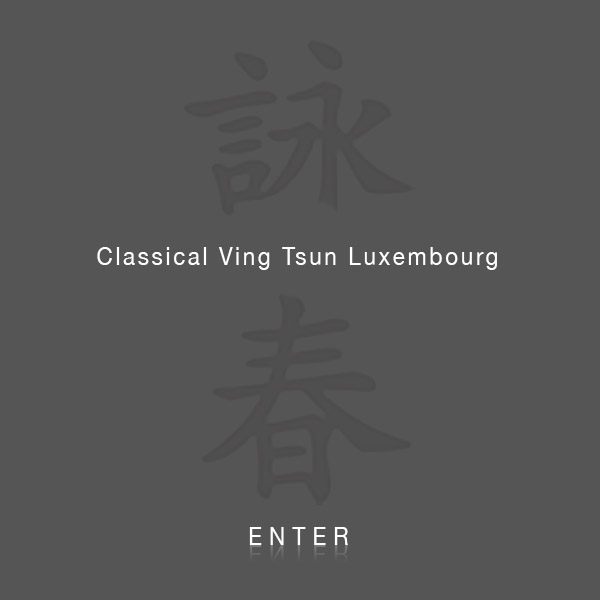 VingTsun